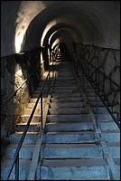 DSC_8280.JPG