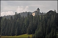 DSC_8298E.jpg