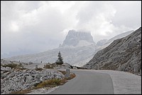 DSC_8346C.jpg