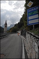 DSC_8384.JPG