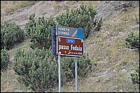 DSC_8411.JPG