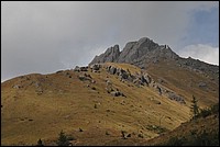 DSC_8417.JPG