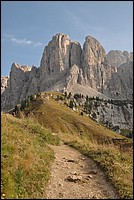 DSC_8479.JPG