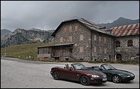 DSC_8516D.jpg