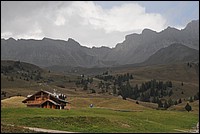 DSC_8519.JPG