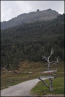 DSC_8525.JPG