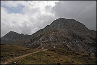 DSC_8536.JPG