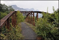 DSC_8623.JPG