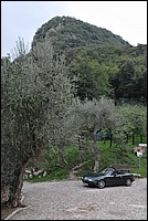 DSC_8636.JPG
