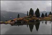 DSC_8649.JPG