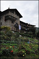 DSC_8669.JPG