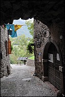 DSC_8679.JPG