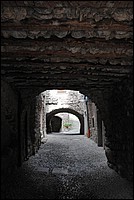 DSC_8684.JPG