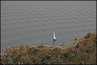 DSC_8731.JPG