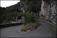 DSC_8733.JPG