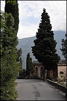 DSC_8750.JPG