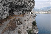 DSC_8779.JPG