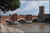 DSC_8890.JPG