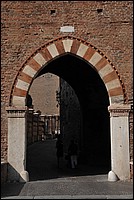 DSC_8910.JPG