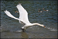 DSC_0718E.JPG