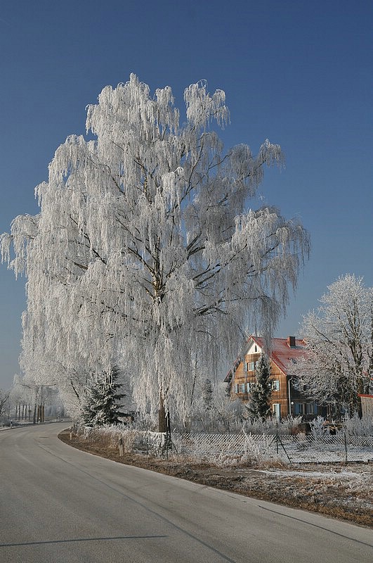 DSC_7135E.JPG