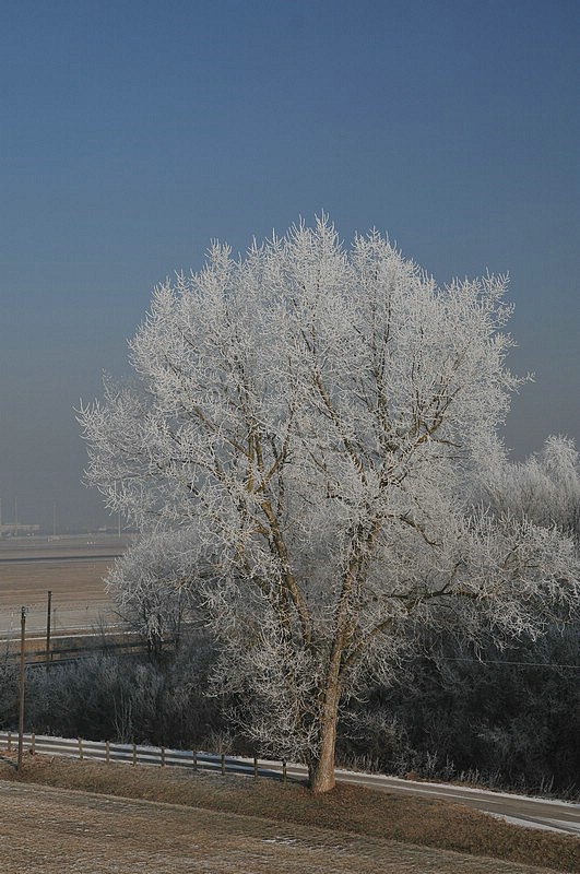 DSC_7158E.JPG