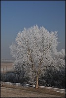 DSC_7158E.JPG