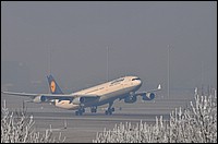 DSC_7209DE.JPG