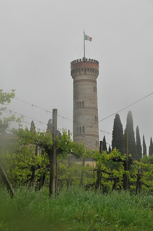 DSC_9724.JPG