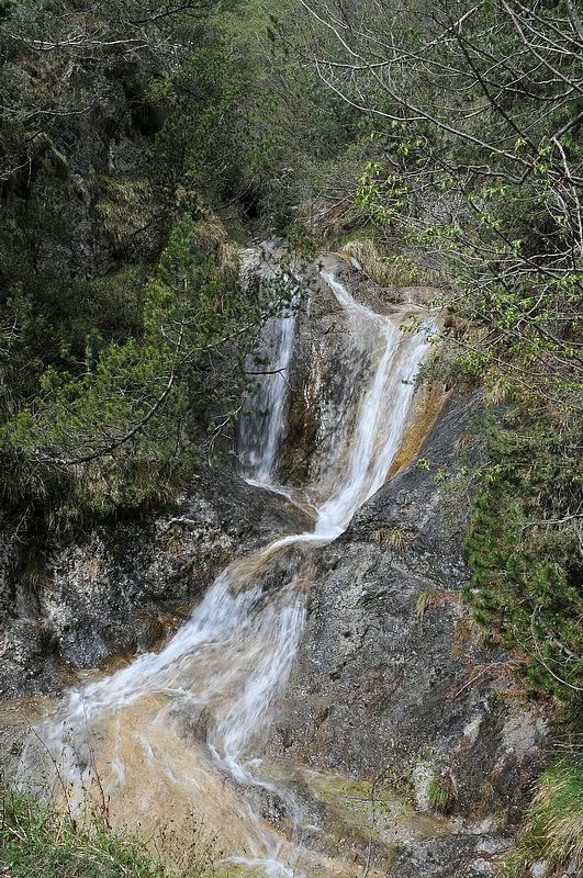 DSC_9804.JPG