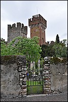 DSC_9431.JPG