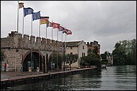 DSC_9446D.JPG