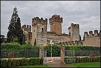 DSC_9469.JPG