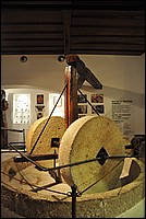 DSC_9503.JPG