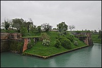 DSC_9688.JPG