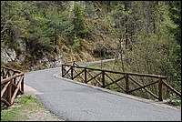 DSC_9807.JPG