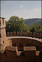 DSC_4538DG.jpg