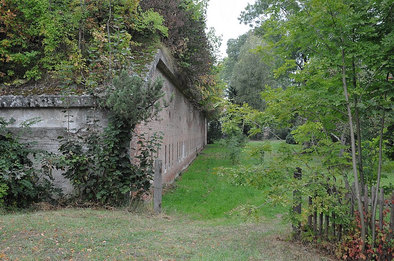DSC_5647.JPG