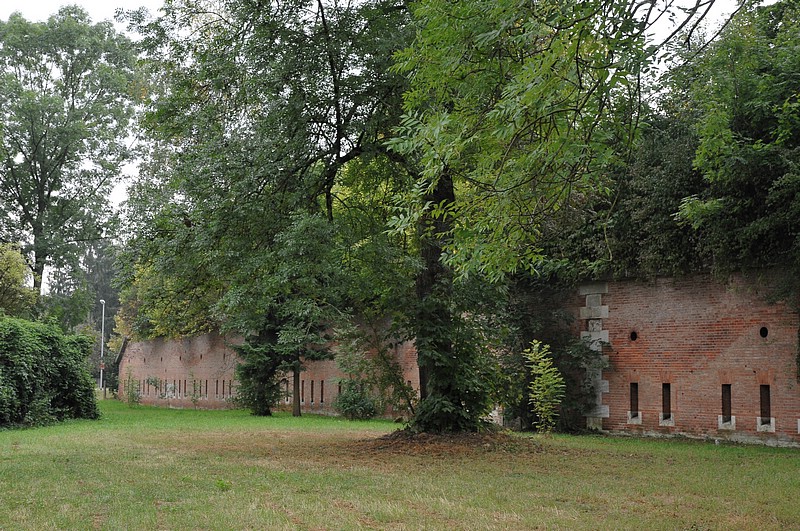 DSC_5668.JPG