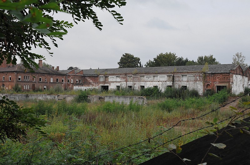 DSC_5762.JPG