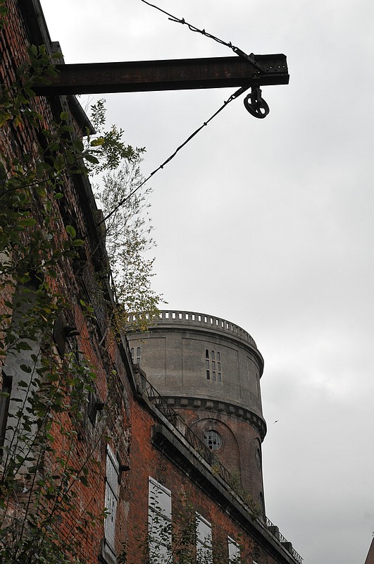 DSC_5768.JPG