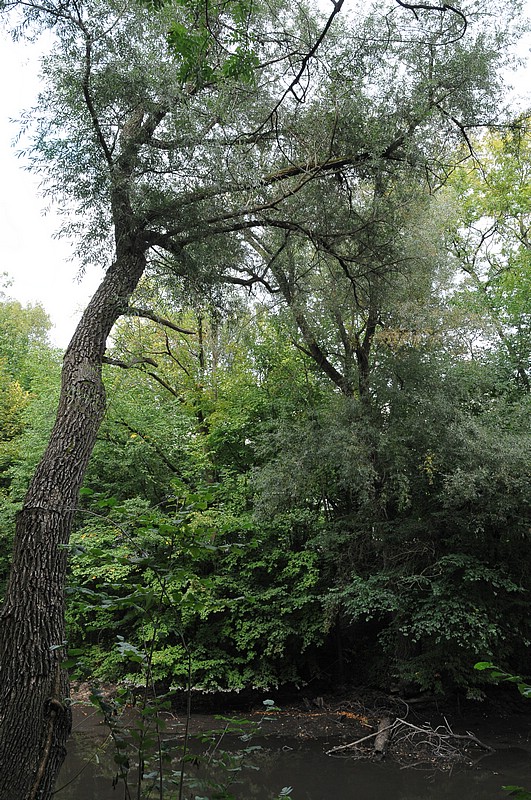 DSC_5876.JPG