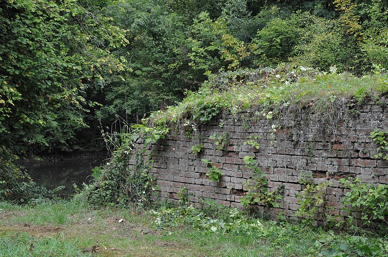 DSC_5888.JPG