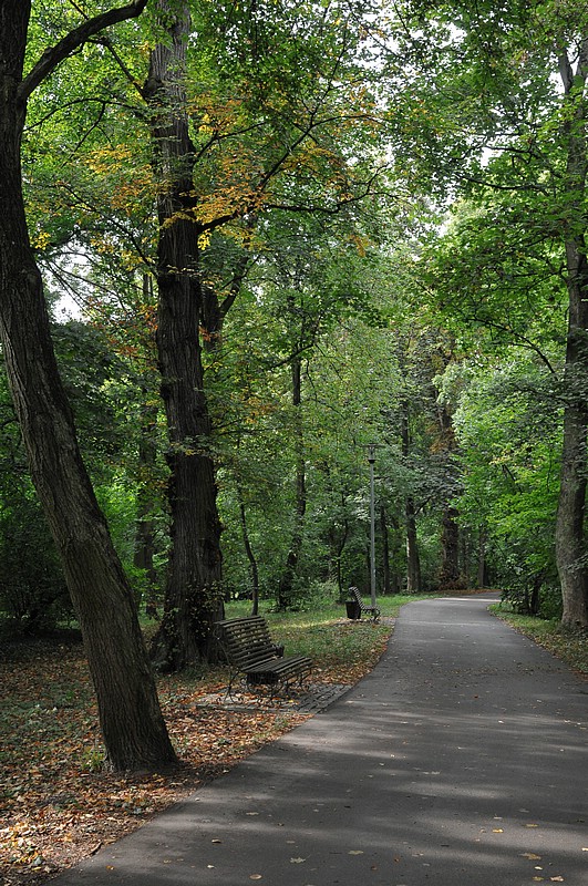 DSC_5912.JPG