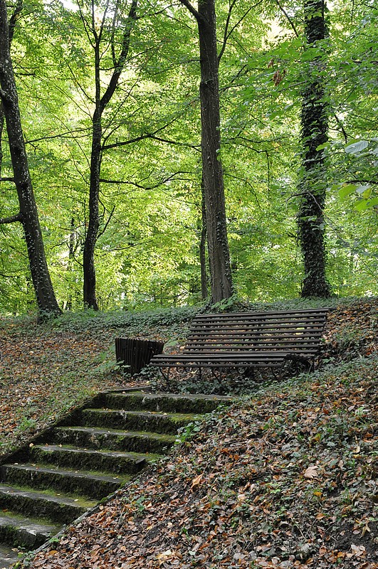 DSC_5916.JPG