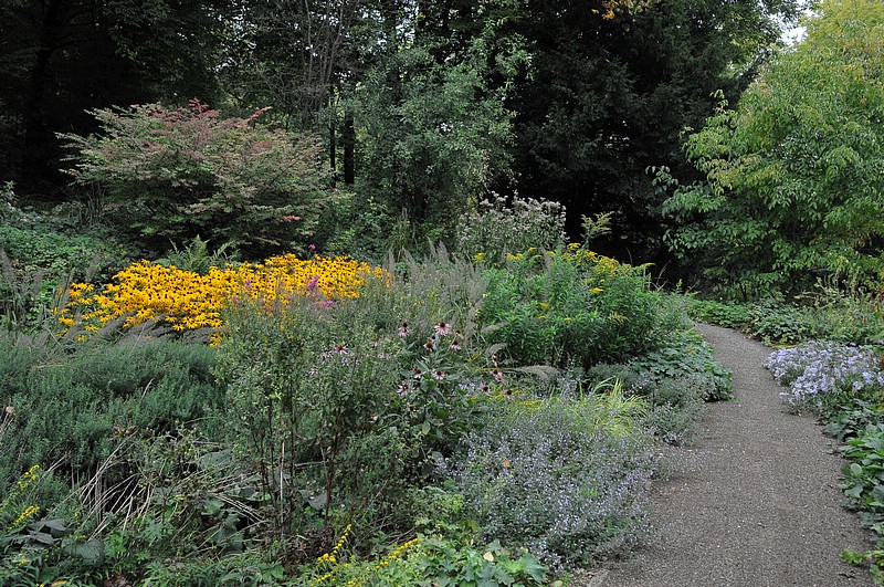 DSC_5918.JPG