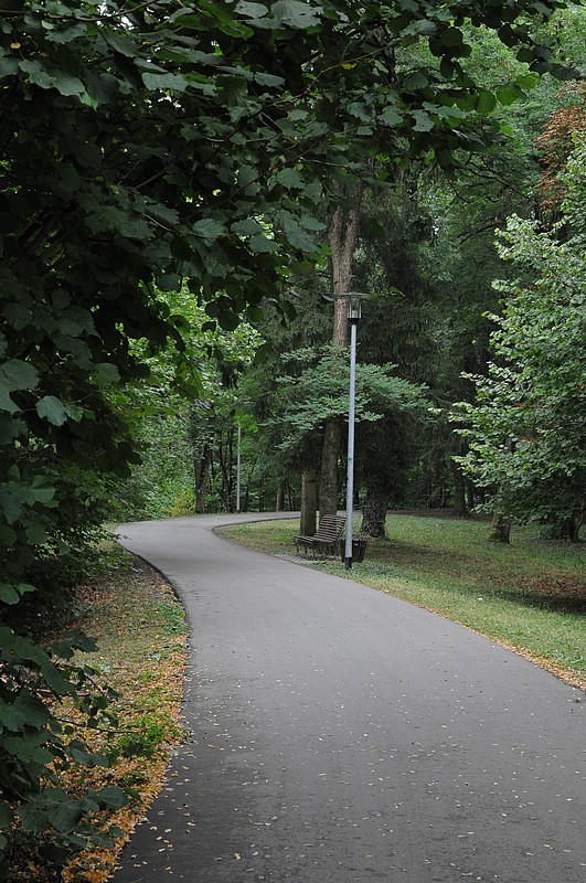 DSC_5936.JPG