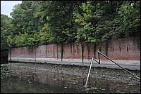 DSC_5885.JPG