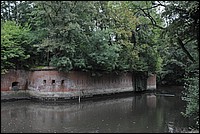 DSC_5900.JPG