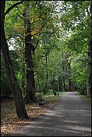DSC_5912.JPG